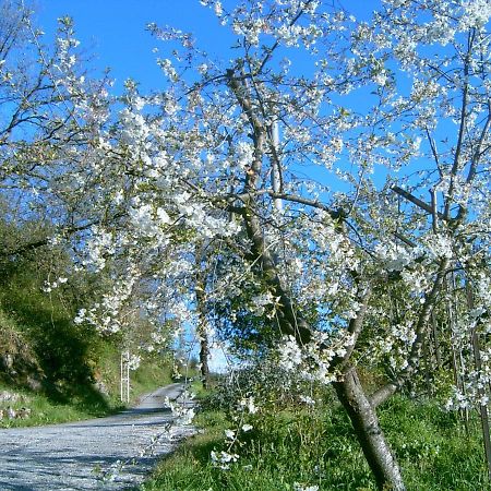 B&B Casa Rosella - Country House Bellegra المظهر الخارجي الصورة